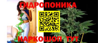 спиды Кинель