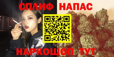 спиды Кинель