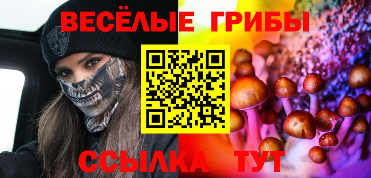 Галлюциногенные грибы прущие грибы  Псилоцибиновые грибы GOLDEN TEACHER  Щёлково  Вход с VPN 